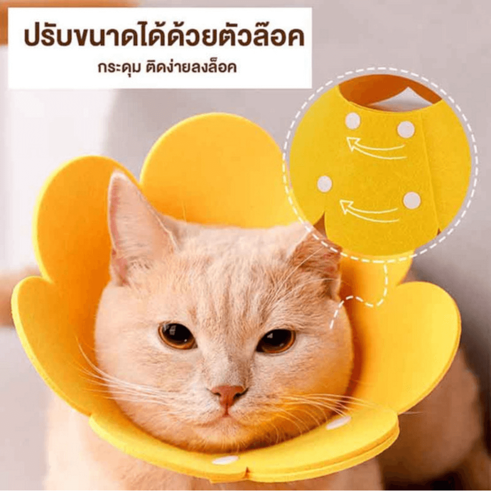 คอลล่าแมว ปลอกคอกันแมวเลีย THAI SUN SPORT รุ่น PET0026